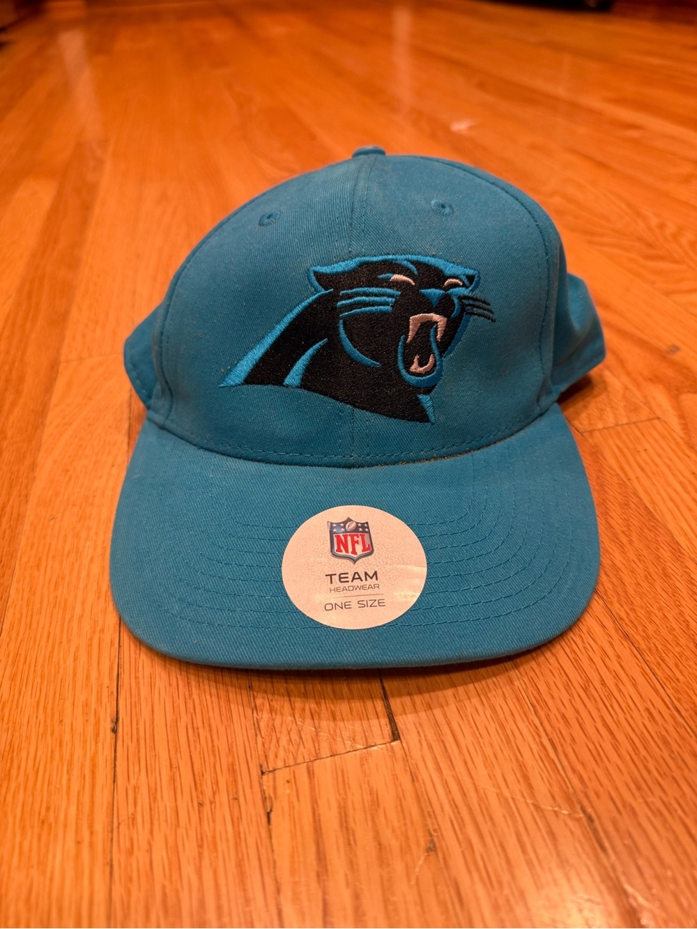 NFL Carolina Panthers Teal NFL Team Hat - Official Team Headwear